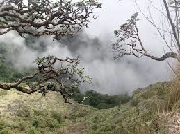 Photo of Soothing Kodaikanal 8/9 by Puneet Hosamani