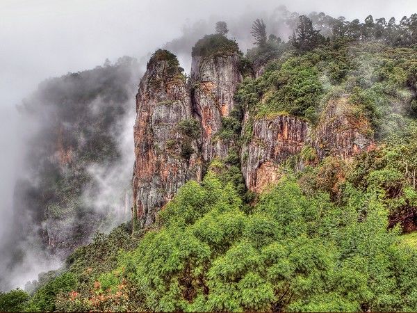 Photo of Soothing Kodaikanal 9/9 by Puneet Hosamani