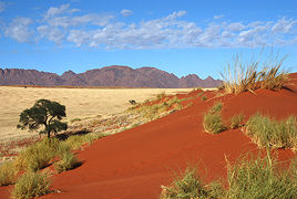 Photo of NamibRand Nature Reserve by Rajeev