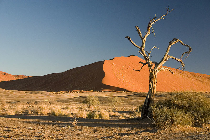 Photo of Sossusvlei by Rajeev