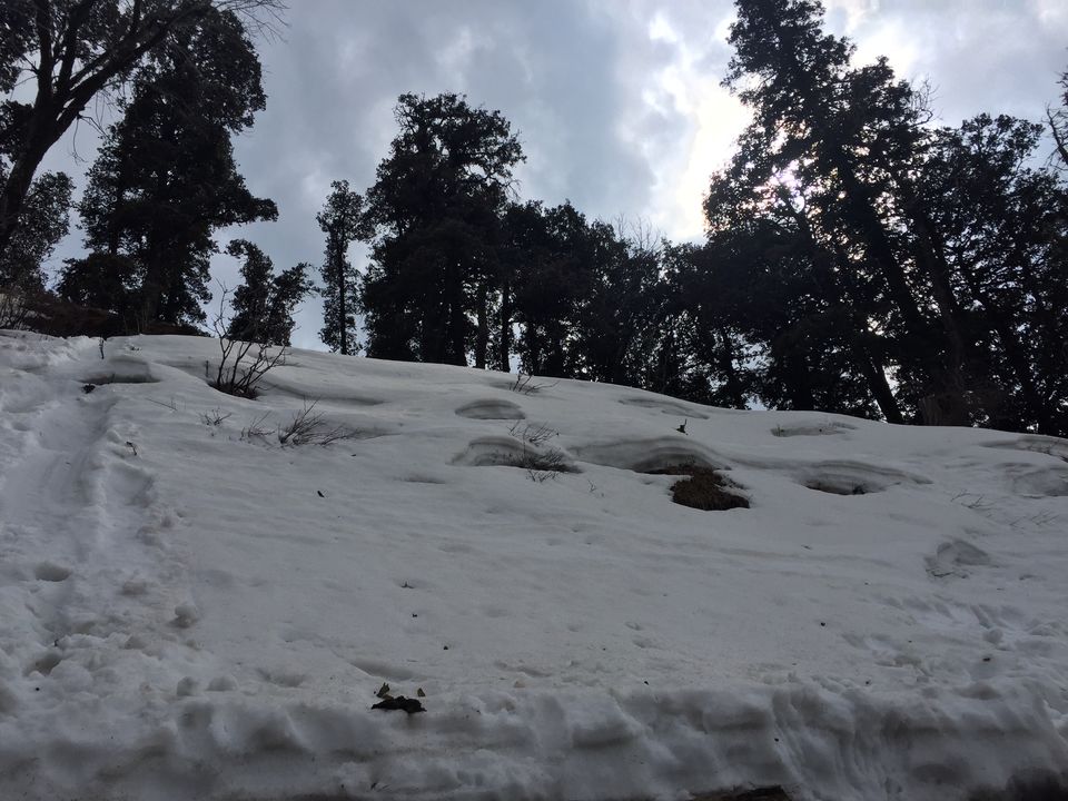 Photo of First Rendezvous with the Mountains 3/13 by Sonal Vartak