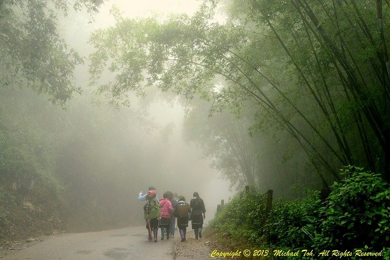 Photo of Vietnam! Trekking in Sapa with Hmong 6/6 by Vicky Chong