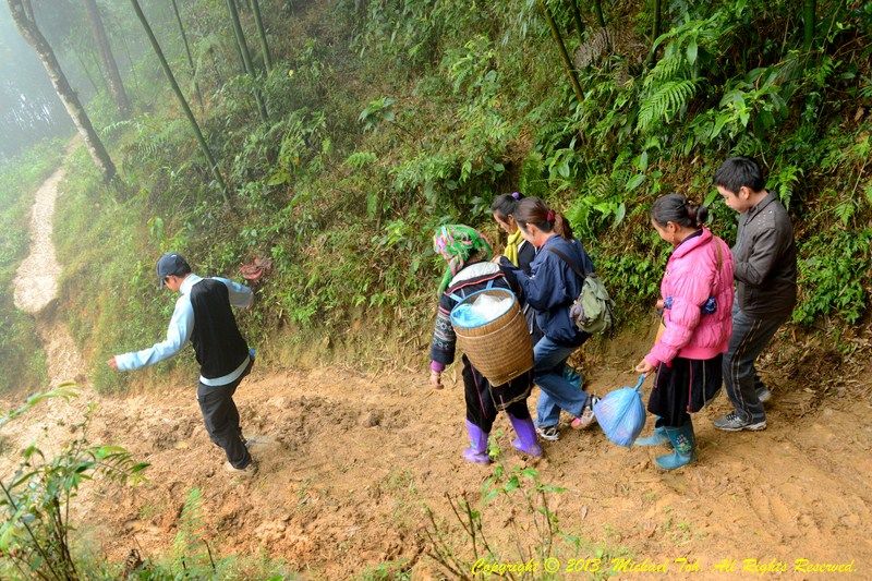 Photo of Vietnam! Trekking in Sapa with Hmong 4/6 by Vicky Chong