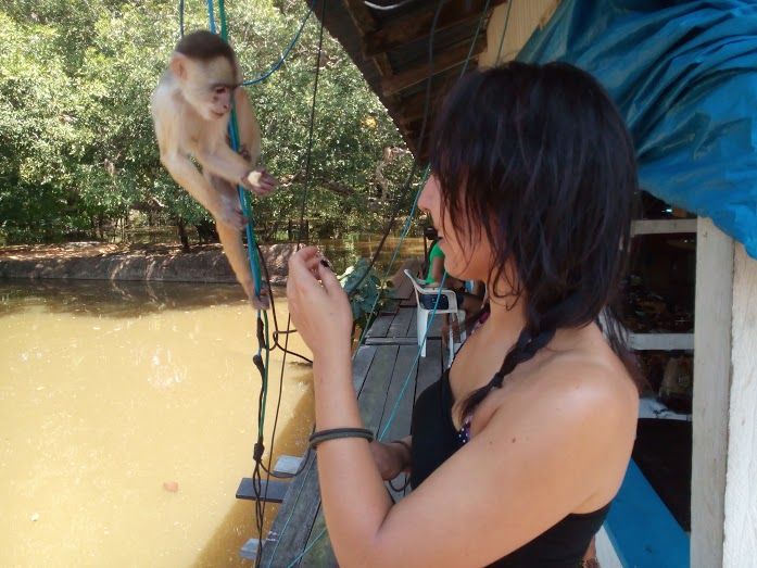 Photo of Discovering the Amazon rainforest 4/14 by chiara tosi