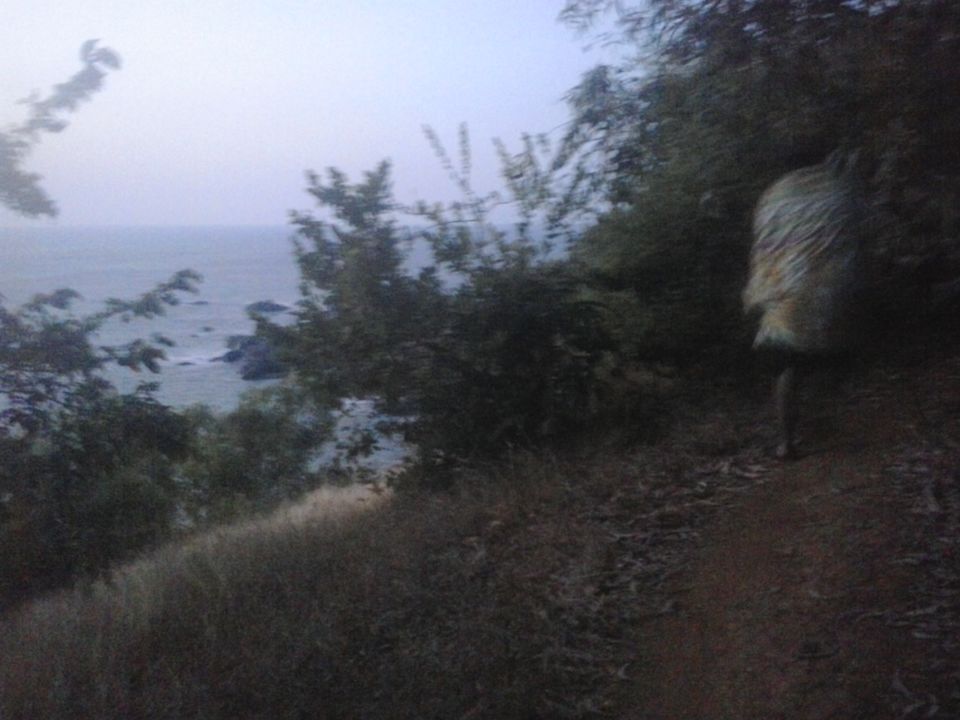 Photo of Mystical Gokarna.. by Rothin Sonowal