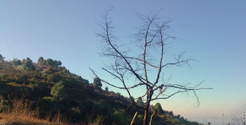 Photo of Essence of Nature Chronicles by Rothin Sonowal
