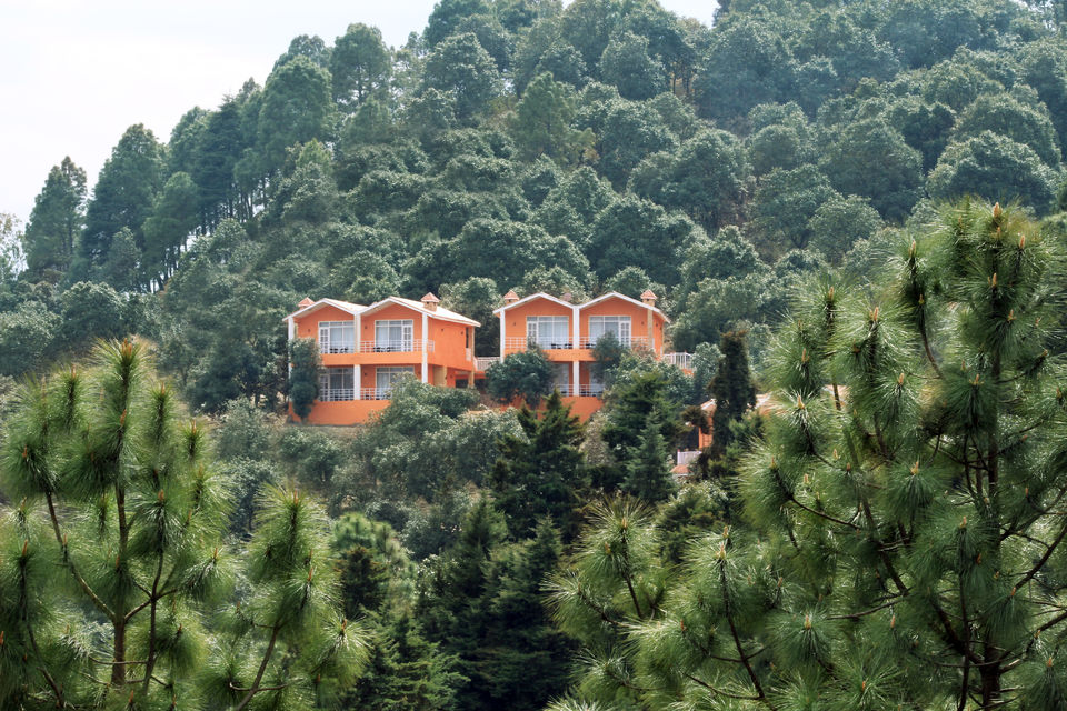 Photo of Essence of Nature Chronicles by Rothin Sonowal