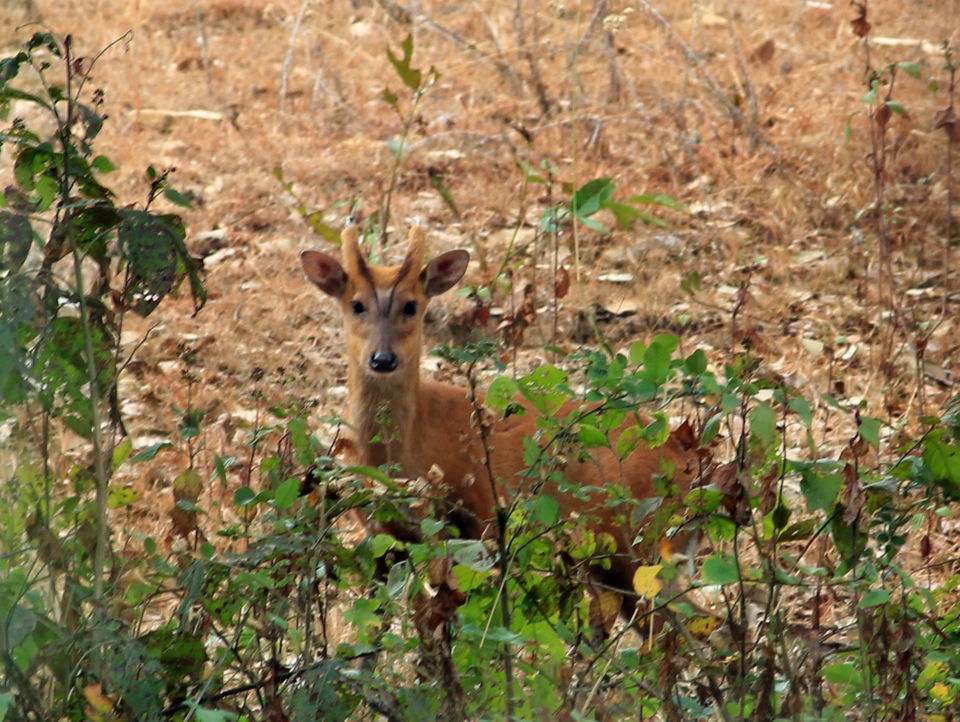Photo of Essence of Nature Chronicles by Rothin Sonowal
