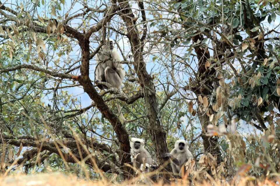 Photo of Essence of Nature Chronicles by Rothin Sonowal