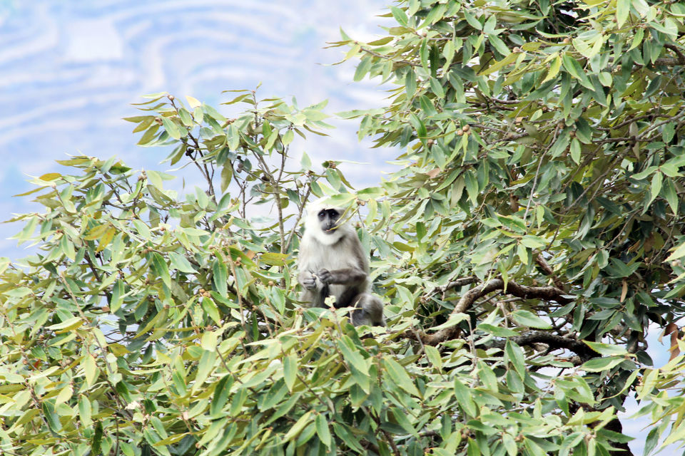 Photo of Essence of Nature Chronicles by Rothin Sonowal