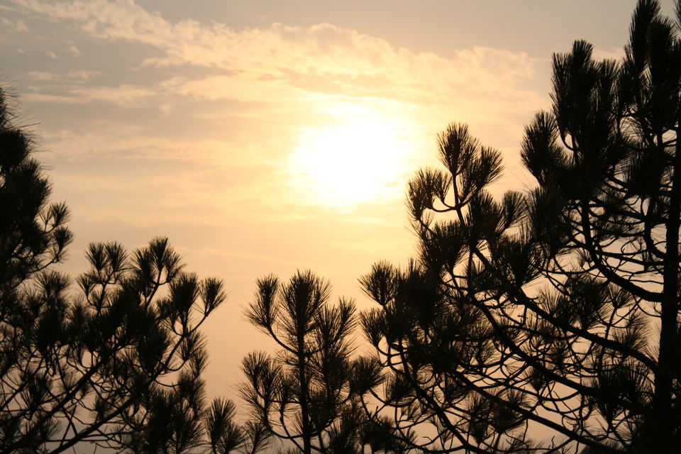 Photo of Essence of Nature Chronicles by Rothin Sonowal