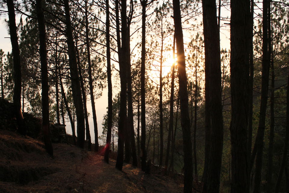 Photo of Essence of Nature Chronicles by Rothin Sonowal