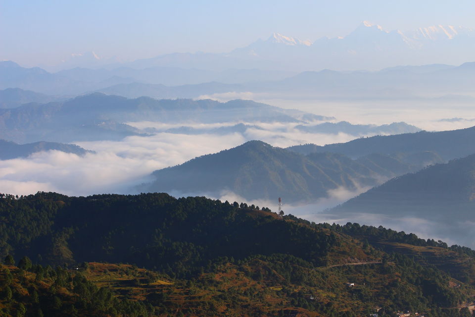 Photo of Essence of Nature Chronicles by Rothin Sonowal