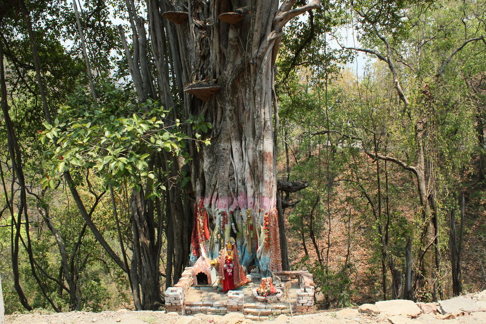 Photo of Essence of Nature Chronicles by Rothin Sonowal