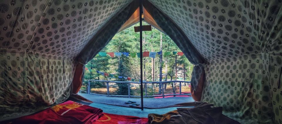 Photo of My Kasol Holi experience - MADDEST STORY OF MY LIFE 4/4 by Krishna Rathore