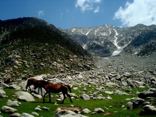 Photo of Kareri Lake by Aftab Singh
