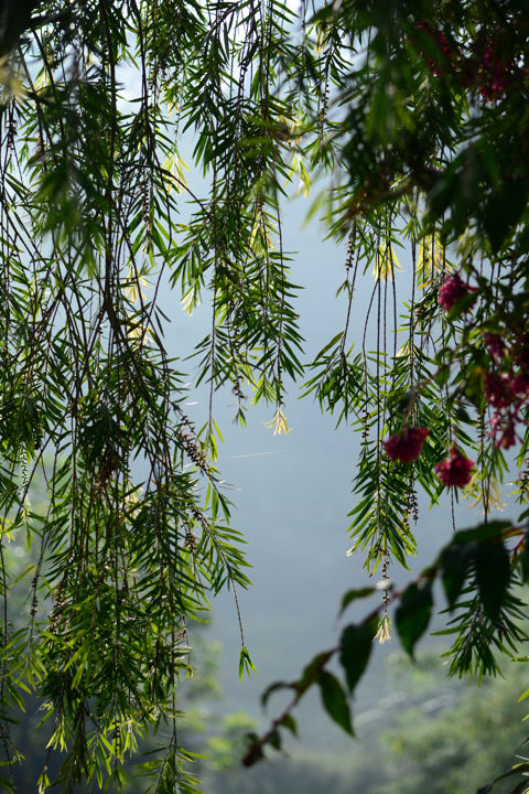 Photo of by Jeeson Joseph Variath