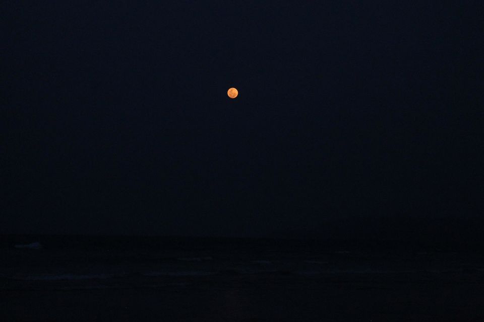 Photo of Sitapur Beach by Anand Menon
