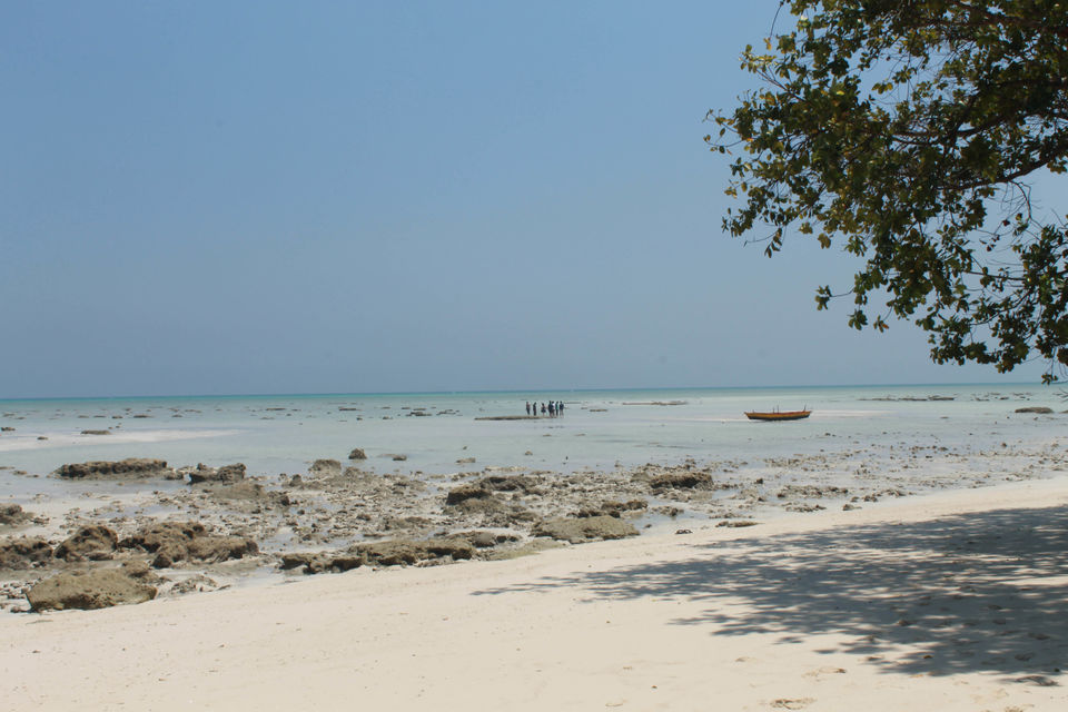 Photo of Radhanagar Beach, Andaman and Nicobar Islands, India by Anand Menon