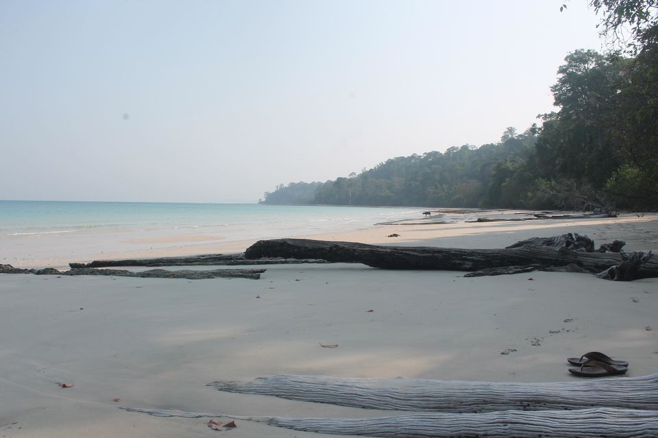 Photo of Long Island, North and Middle Andaman, Andaman and Nicobar Islands, India by Anand Menon