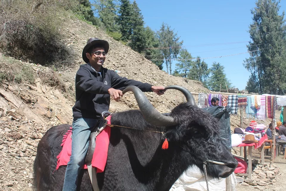 Photo of Kufri, Himachal Pradesh, India by Anand Menon