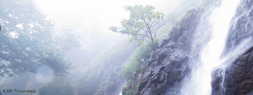 Photo of Adventurous Raigad trek! 4/7 by Namrata Jage