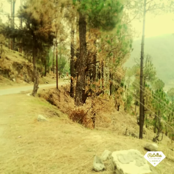 Photo of Purola, Uttarakhand, India by Stuti Panwar