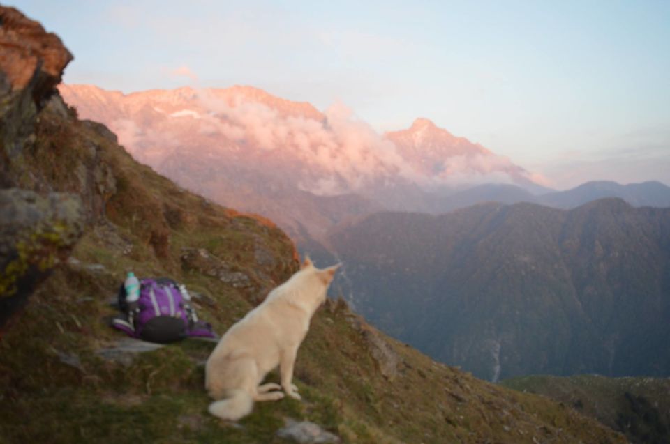 Photo of Mcleod ganj-Triund-Snowline-Lahesh caves-Indrahaar paas 9/24 by Stuti Panwar