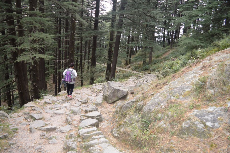 Photo of Mcleod ganj-Triund-Snowline-Lahesh caves-Indrahaar paas 19/24 by Stuti Panwar