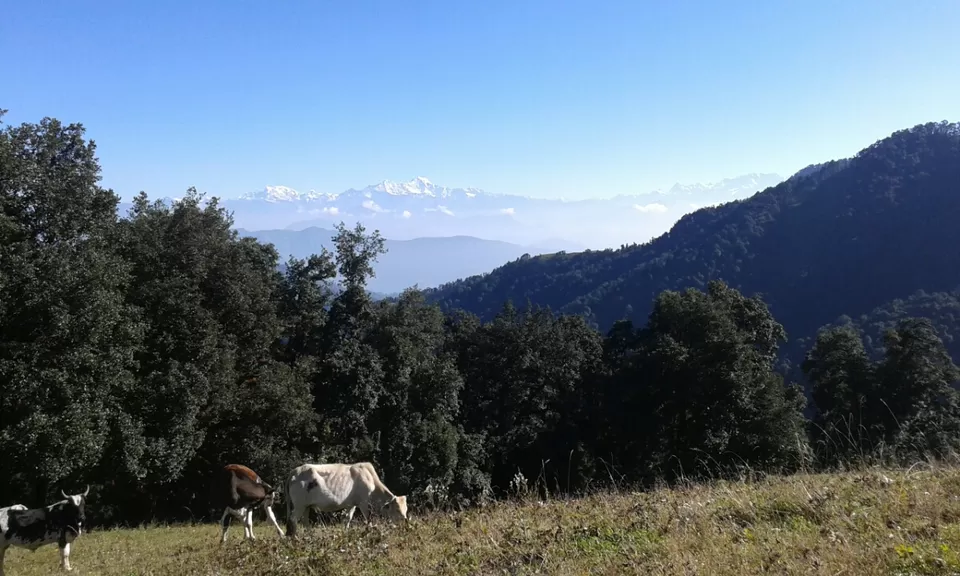 Photo of Nagtibba, Uttarakhand by Stuti Panwar