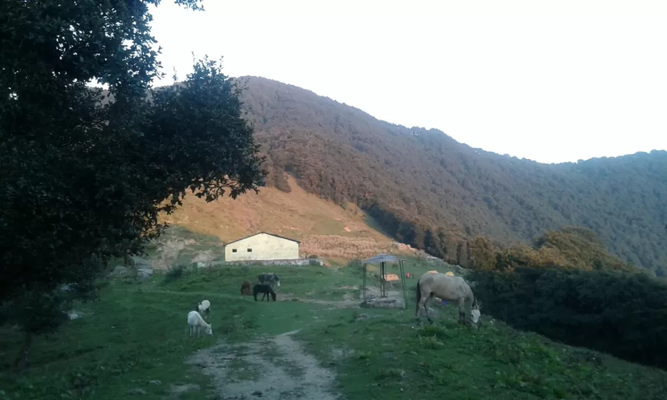 Photo of Nagtibba, Uttarakhand by Stuti Panwar