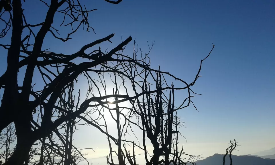 Photo of Nagtibba, Uttarakhand by Stuti Panwar