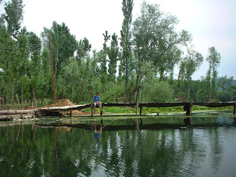 Photo of Anchar Lake by Siddharth Kajaria