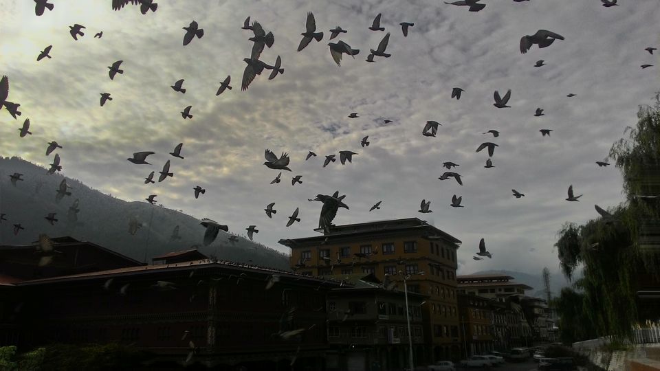 Photo of Solo Trip to Bhutan on a Low Budget 2/31 by Somasish Ghosh