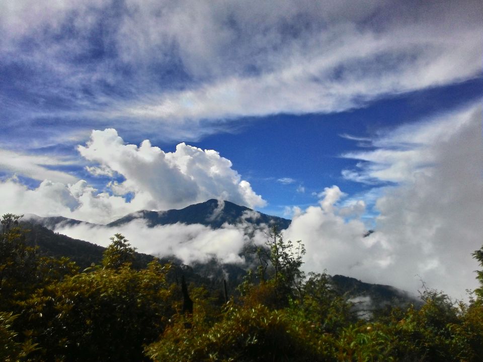 Photo of Solo Trip to Bhutan on a Low Budget 29/31 by Somasish Ghosh