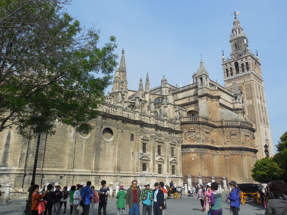 Photo of Seville Cathedral, Avenida de la Constitución, Seville, Spain by Michele Herrmann