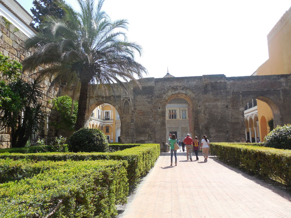 Photo of Real Alcázar, Seville, Spain by Michele Herrmann