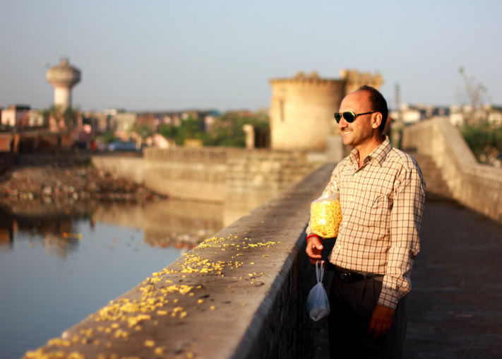 Photo of Rajkot , India – City with Luv for Birds 6/6 by Nishant Chawla