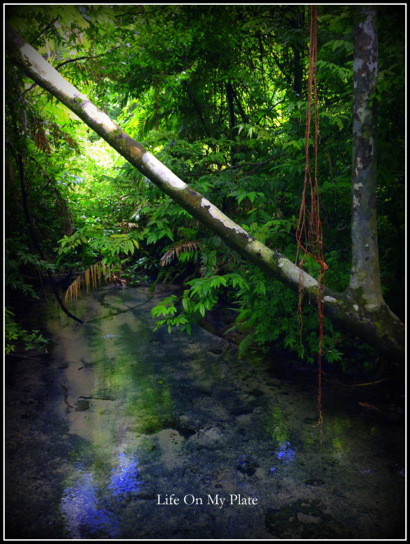 Photo of There’s more to Krabi than the Sun, Sand & Sea 3/14 by Upasna Verma