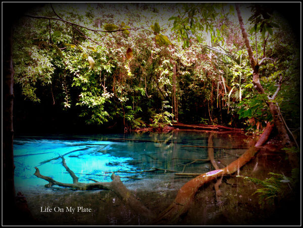 Photo of There’s more to Krabi than the Sun, Sand & Sea 14/14 by Upasna Verma