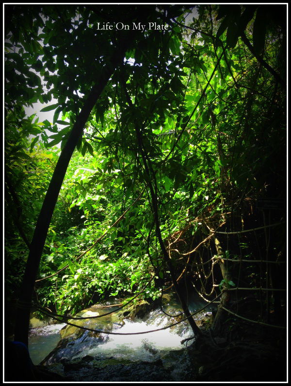 Photo of There’s more to Krabi than the Sun, Sand & Sea 6/14 by Upasna Verma