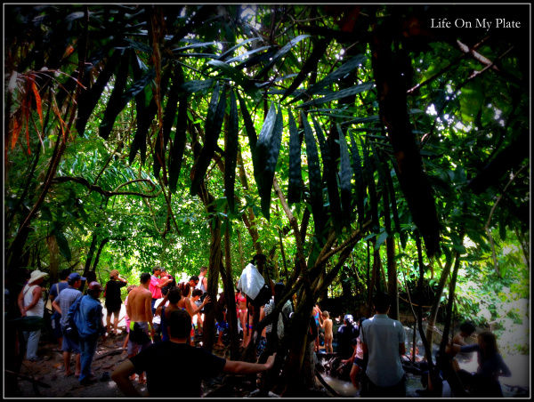 Photo of There’s more to Krabi than the Sun, Sand & Sea 7/14 by Upasna Verma