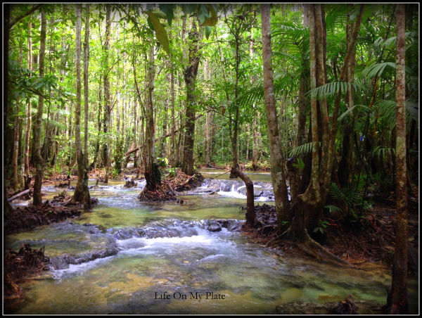 Photo of There’s more to Krabi than the Sun, Sand & Sea 2/14 by Upasna Verma