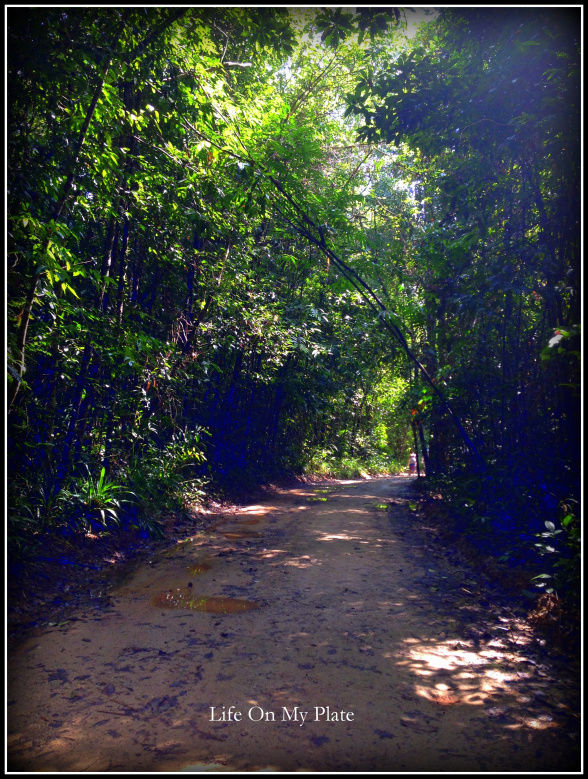 Photo of There’s more to Krabi than the Sun, Sand & Sea 9/14 by Upasna Verma