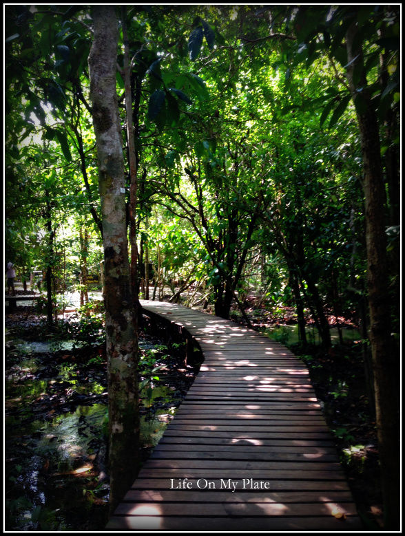 Photo of There’s more to Krabi than the Sun, Sand & Sea 10/14 by Upasna Verma