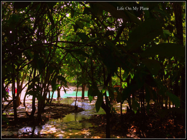 Photo of There’s more to Krabi than the Sun, Sand & Sea 11/14 by Upasna Verma