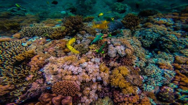Photo of This Hidden Beach is Home to One of the World's Best Snorkelling Locations 3/9 by Lina Stock