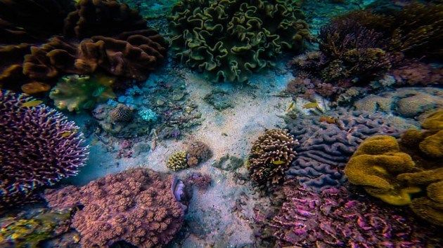 Photo of This Hidden Beach is Home to One of the World's Best Snorkelling Locations 5/9 by Lina Stock