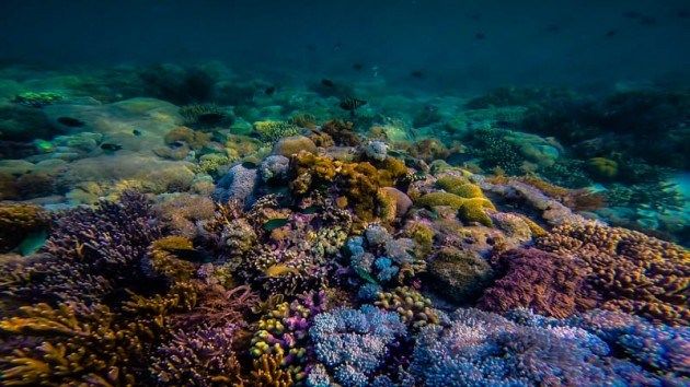 Photo of This Hidden Beach is Home to One of the World's Best Snorkelling Locations 6/9 by Lina Stock