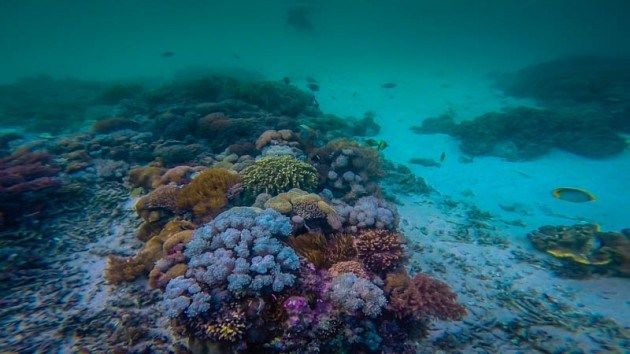 Photo of This Hidden Beach is Home to One of the World's Best Snorkelling Locations 7/9 by Lina Stock